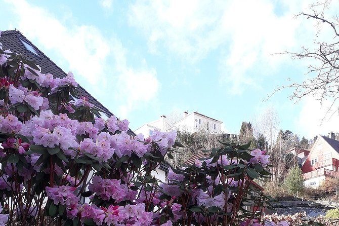 Walking Tour: Medieval Spirit of Bergen