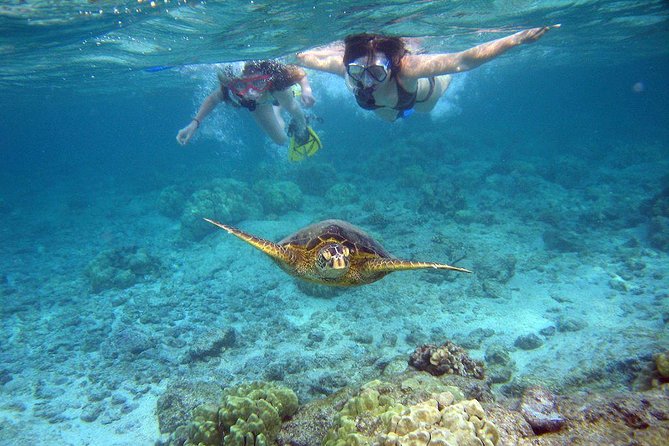 Watamu Marine Park & Sudi Island Mangrove Forest Canoe Ride.With Sea Food Lunch - Tour Overview
