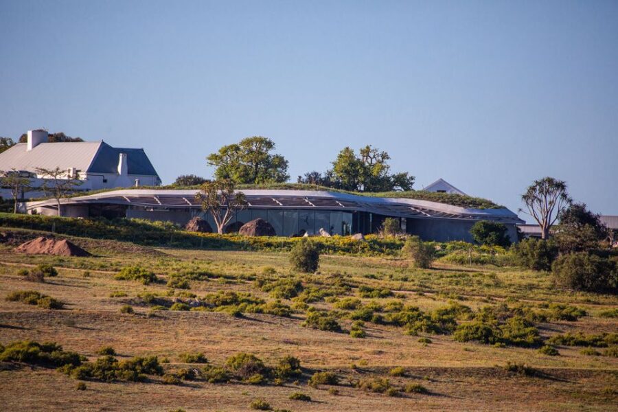 West Coast: Nature Cycle & San Heritage Centre. W. Lunch