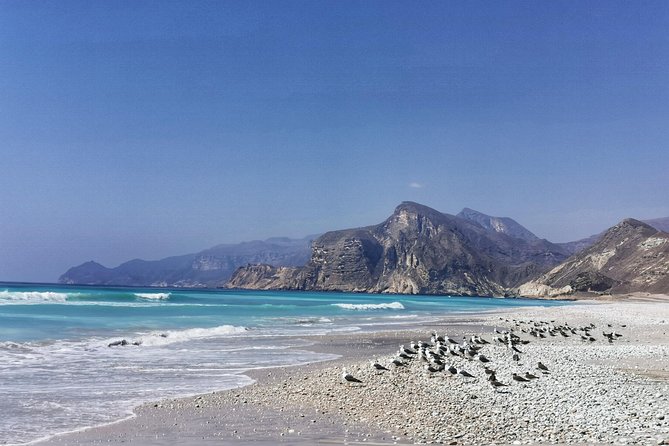 West Salalah, Al Mughsail Beach, Frankincense Tree, Fazayah Beach