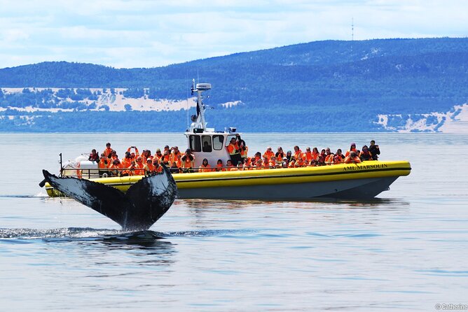 Whale Watching Cruise From Tadoussac or Baie-Ste-Catherine - Exploring Tadoussacs Whale Watching Destination