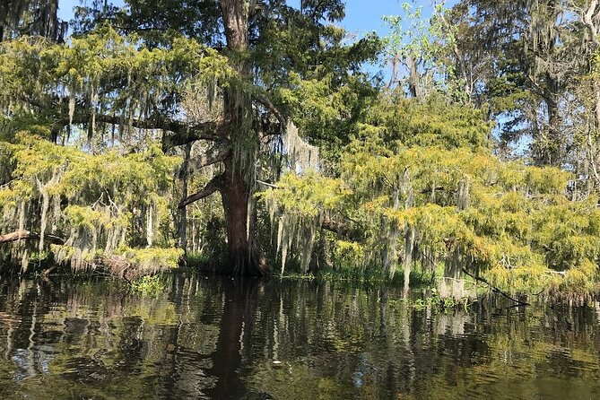 Whitney Plantation and Manchac Swamp Kayak Tour Combo - Slavery History at Whitney Plantation