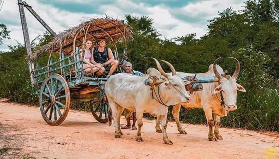 Wild Safari+Village Tour+Meal+Cooking Experience+NightStay