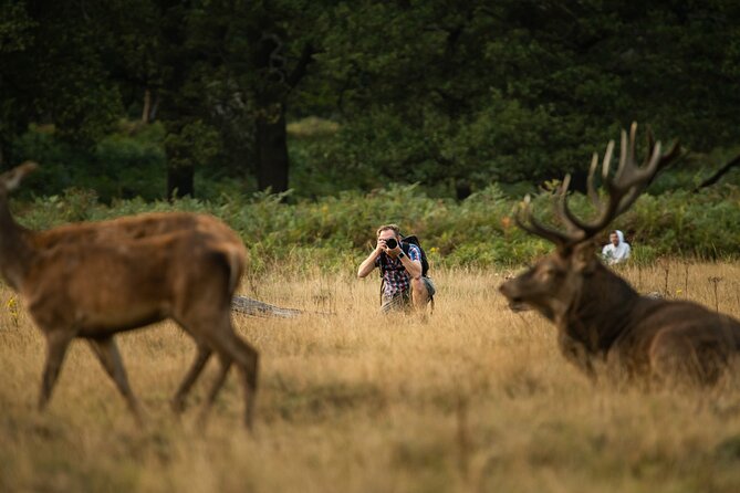 Wildlife Photography Workshop in Richmond Park in London