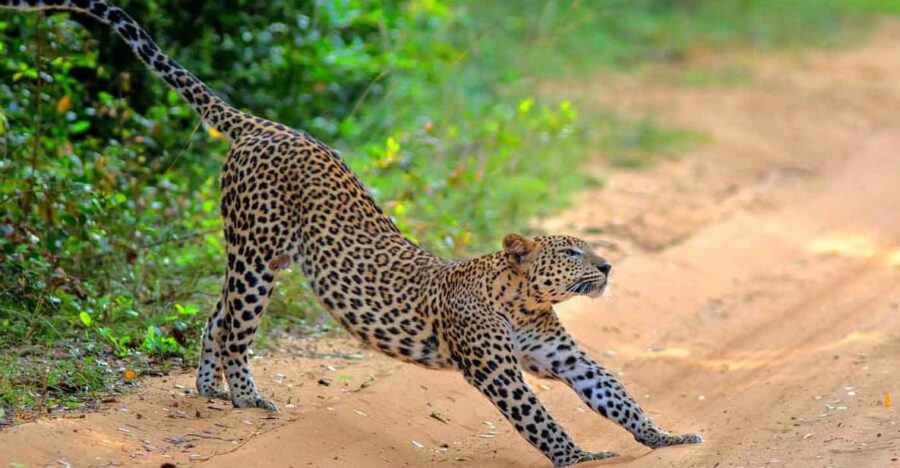 6 Best Tours In North Central Province