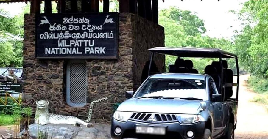 Wilpattu National Park Private Safari Jeep Tour - Safari Experience