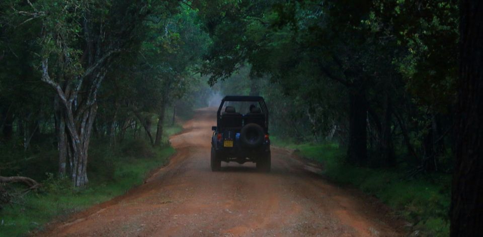 Wilpattu National Park With Safari Jeep & Entrance Ticket - Tour Overview and Pricing