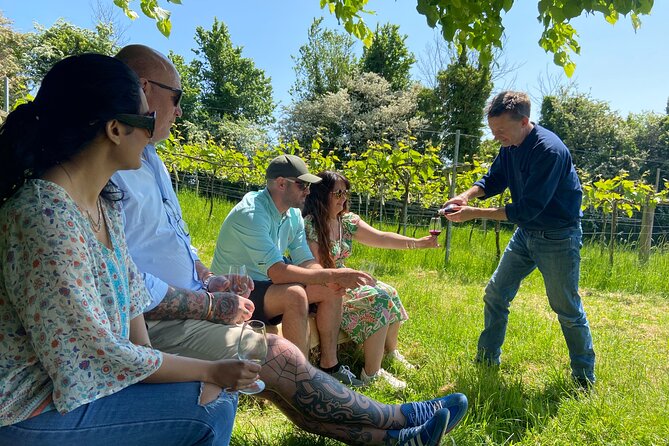 Wine and Cheese Tasting Tour in Cheddar Valley