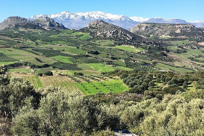 Wine at Stylianou Winery: An Exquisite Tasting Experience