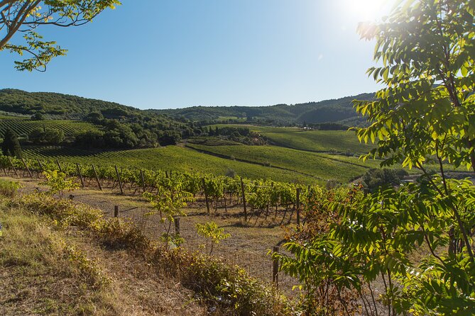Wine Hiking Sip & Trek