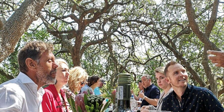 Wine Route Wanderer - Full Day Private Tour - Tour Overview