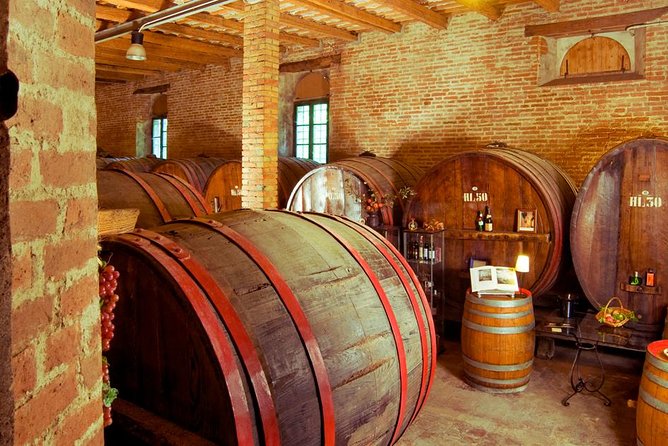Wine Tour and Tasting at Le Marches Oldest Wine Estate