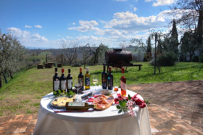 Wine Tour Experience at Agricola Tamburini