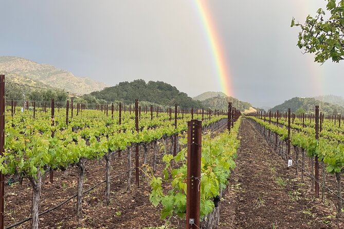 Wine Tour Pros – Sprinter Van Wine Tour: Up To 14 Guests