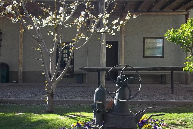 Wine Tour With Lunch and Transport in Mendoza