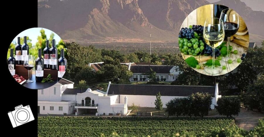 Winelands Full Day Tour - Overview and Pricing