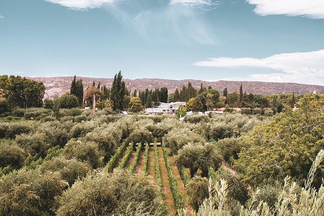 Winemaker-Led Private Exclusive Wine Tour - Gourmet Lunch