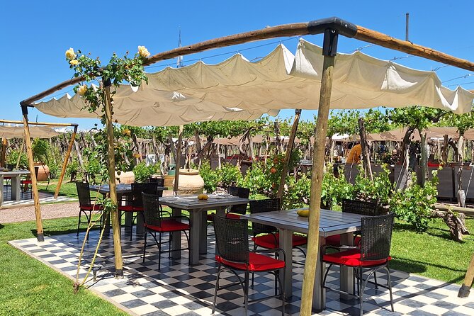 WINERIES DAY in Lujan and Maipú Zone With PRIVATE DRIVER