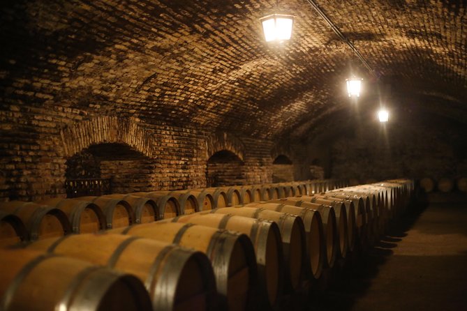 Wines and Paisajes: Unique Experience in Concha and Toro