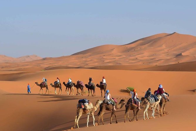Wonderful Desert Tour From Fes To Merzouga 1 Night 2 Days