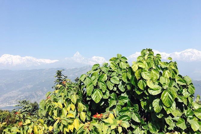 World Peace Stupa Day Hike From Pokhara