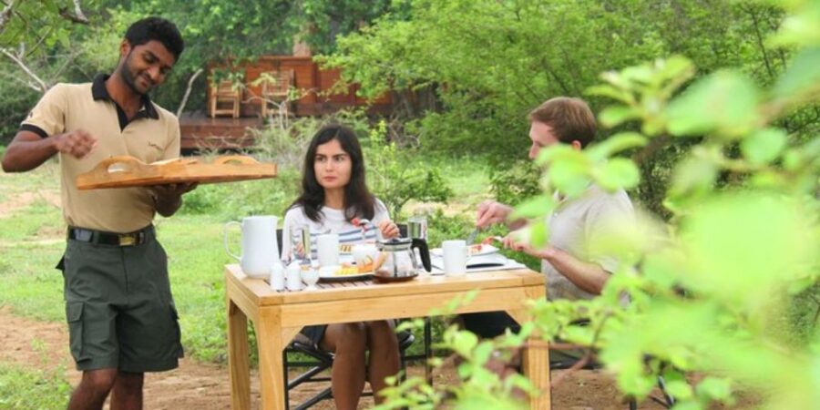 Yala Adventure: All-Inclusive Safari With Campsite Lunch