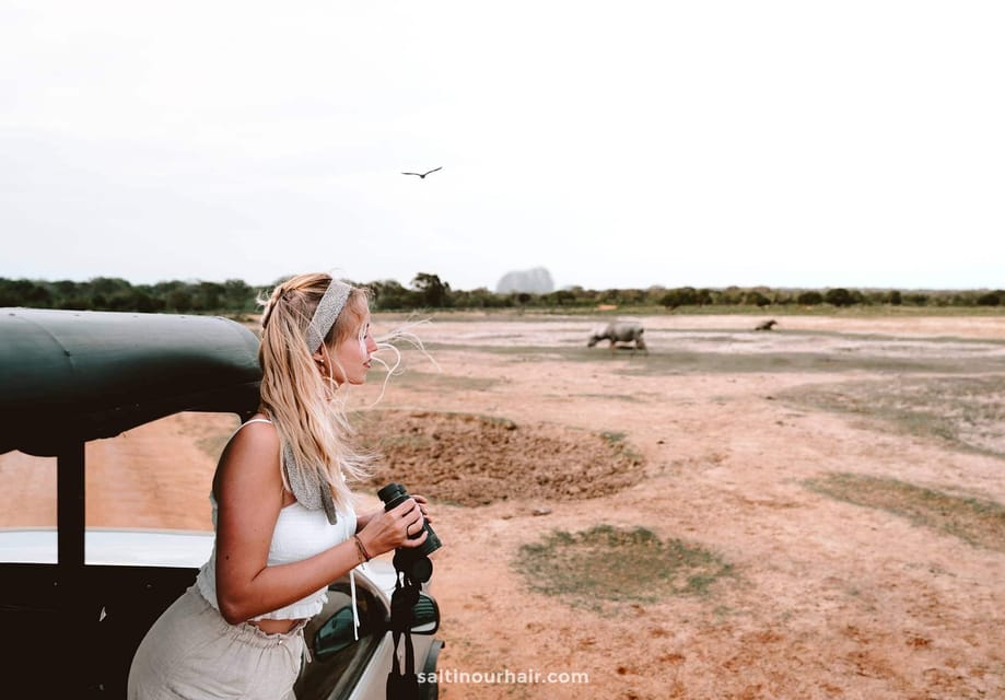 Yala National Park: All-Inclusive Day Tour - Tour Overview