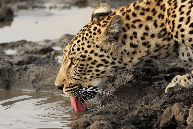 Yala National Park Private Safari Tour - Yala National Park Overview