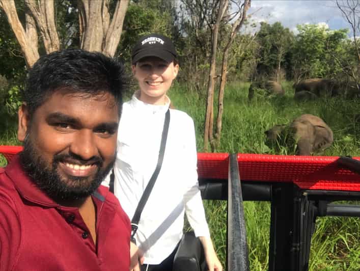 Yala National Park Safari From Ella (+ Jeep)