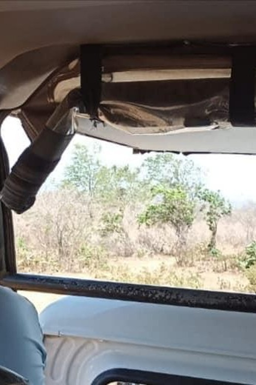 Yala National Park Safari Tour From Colombo / Galle