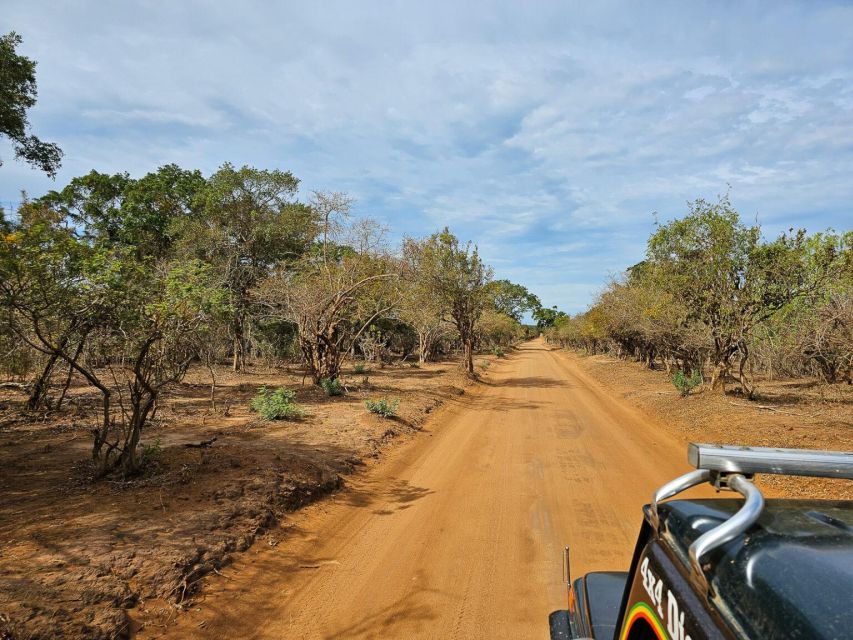 Yala National Park Wildlife Safari From Galle
