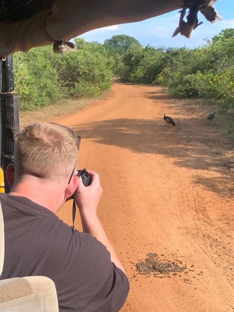 Yala National Park With Safari Jeep & Entrance Tickets