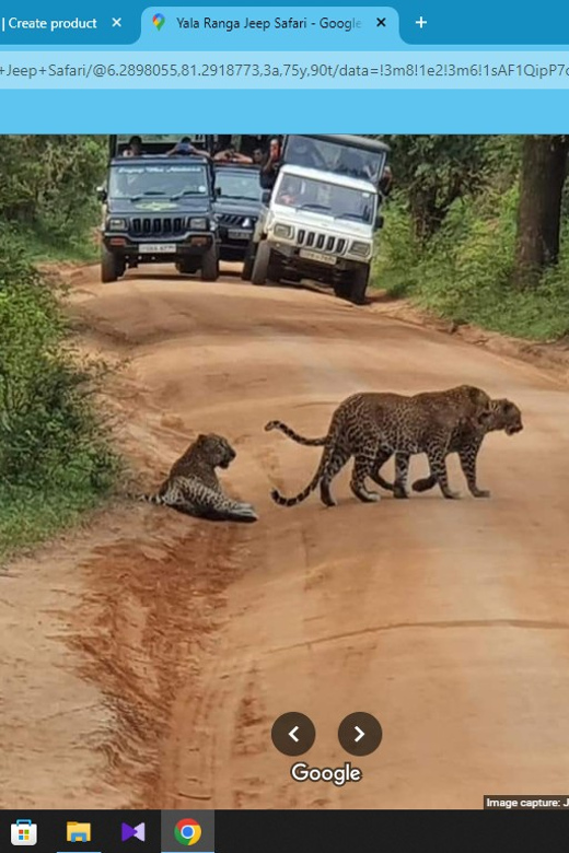 Yala Safari Day Tours - Wildlife and Attractions