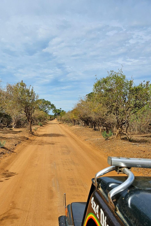 Yala Safari With Jeep and Tickets From Ella - Safari Overview