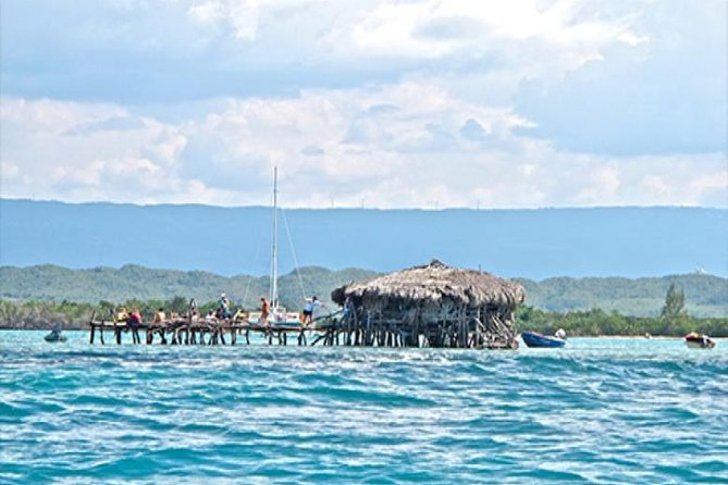 YS Falls and the Pelican Bar Adventure Tour From Kingston