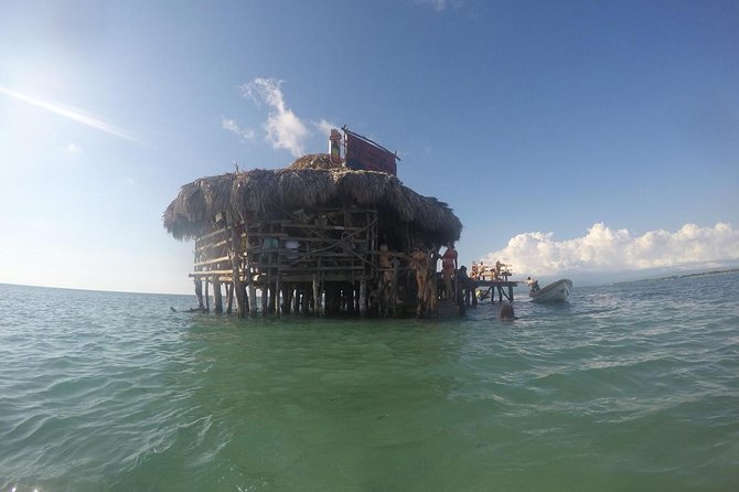 YS Falls, Black River Safari, Floyd's Pelican Bar