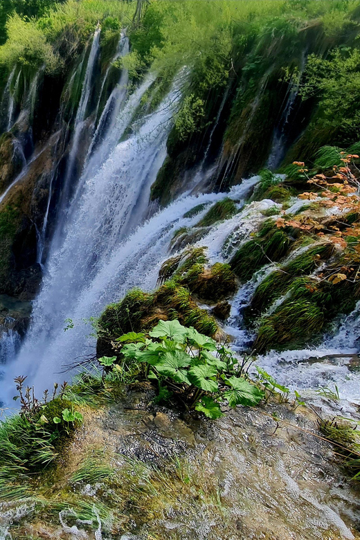 Zadar: Plitvice Lakes Day Trip With Guide and Boat Tour