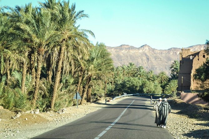 Zagora Desert and Draa Valley Day Trip From Ouarzazate - Scenic Drive Through Draa Valley