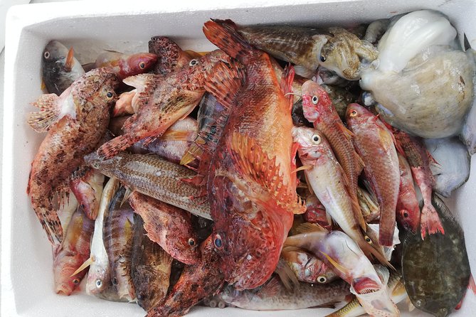 Zakynthos Full Day Traditional Eco-Fishing Tour