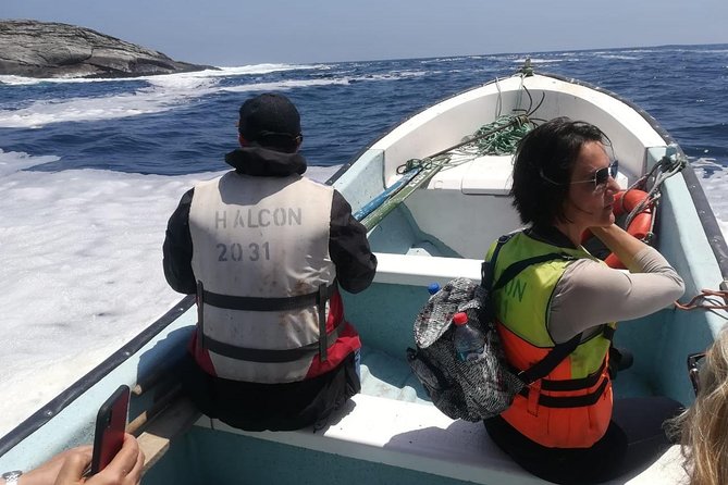 Zapallar and Cachagua Island Experience