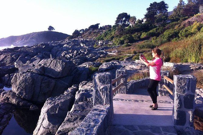 Zapallar Walking & Bird Watching Penguins & Lunch From Valparaiso