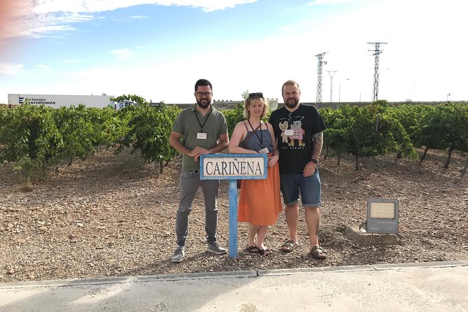 Zaragoza to Cariñena Wineries Full-Day Private Tour