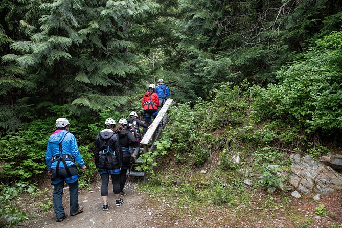 Zipline Adventure in Whistler