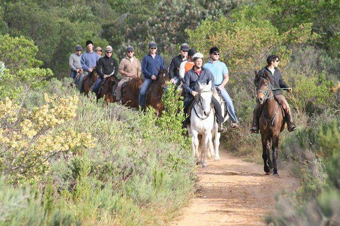 1h30m – Horse Trail - Good To Know