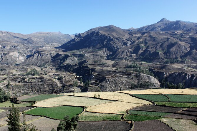 2 Day Colca Canyon, Vicuna Reserve and Condors From Arequipa - Colca Canyon Excursion