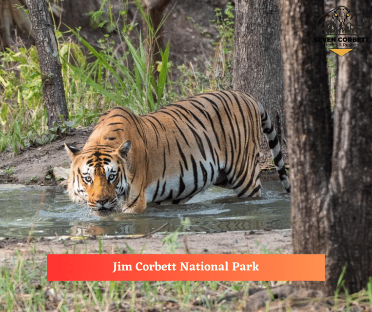 2- Day Excursion to Jim Corbett National Park With Safari - Good To Know