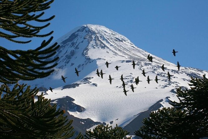 2-Day Guided Ascent to Lanin Volcano, From Pucón - Good To Know