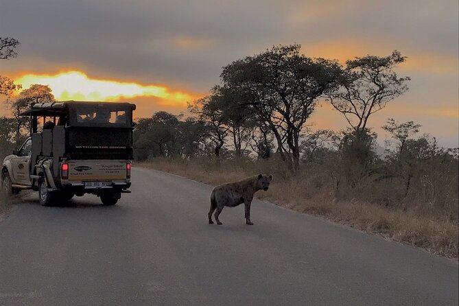 2-Day Safari Tour in Kruger National Park - Good To Know