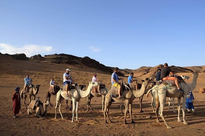 2-Day Zagora Tour From Marrakech Including the Atlas Mountains, Camel Trek and Desert Camp - Tour Overview and Highlights