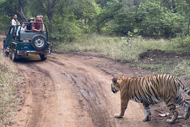 2 Days, 1 Night, Private Jaipur to Ranthambore Guided Tour - Good To Know